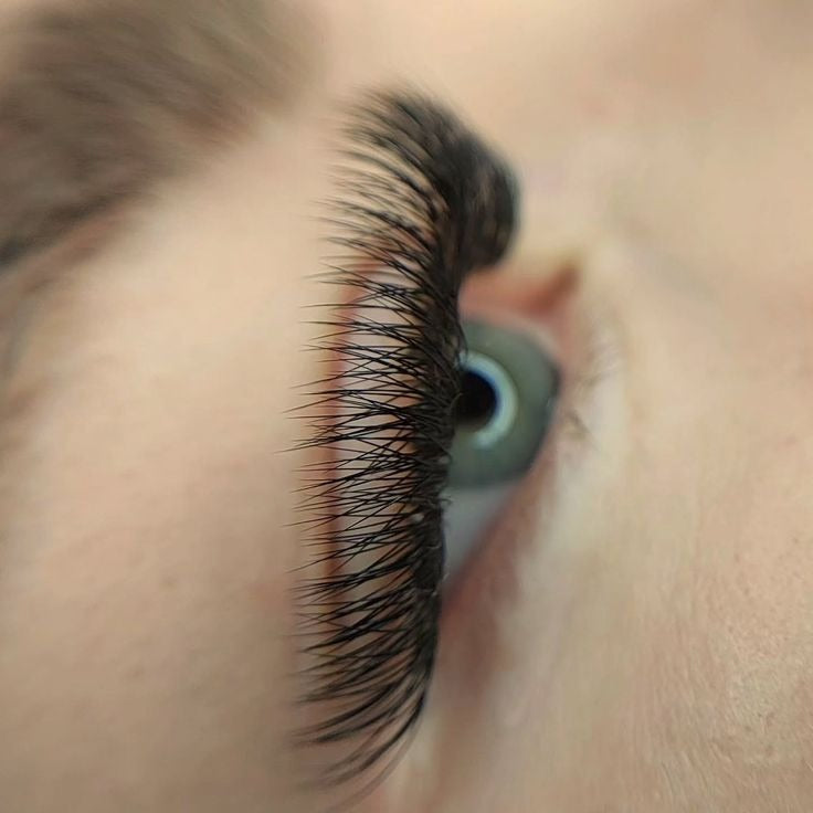Formation CILS
